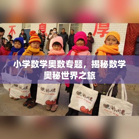 小學(xué)數(shù)學(xué)奧數(shù)專題，揭秘數(shù)學(xué)奧秘世界之旅