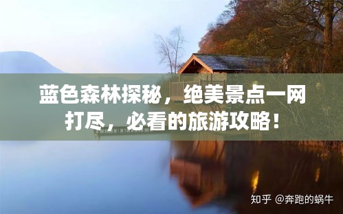 藍(lán)色森林探秘，絕美景點一網(wǎng)打盡，必看的旅游攻略！