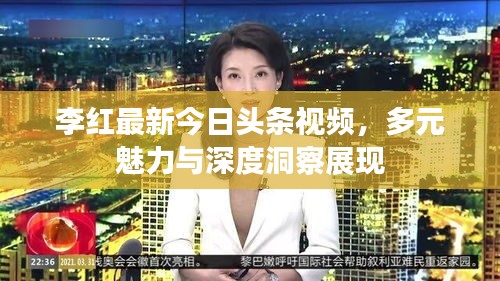 李紅最新今日頭條視頻，多元魅力與深度洞察展現