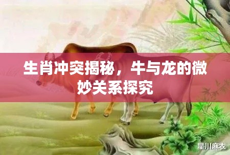 生肖沖突揭秘，牛與龍的微妙關系探究