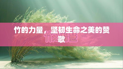 竹的力量，堅韌生命之美的贊歌