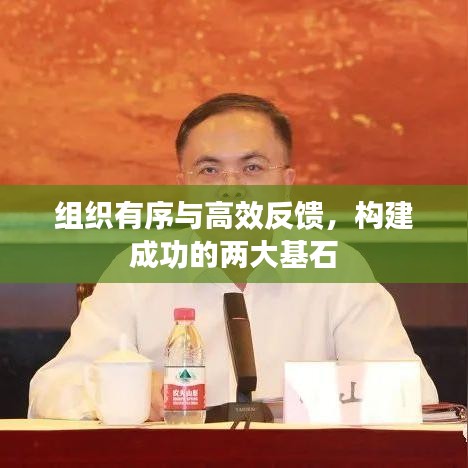 組織有序與高效反饋，構建成功的兩大基石