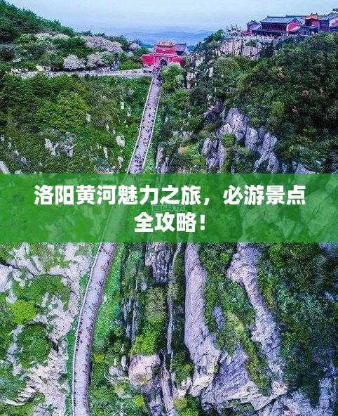 洛陽黃河魅力之旅，必游景點全攻略！