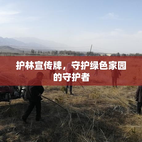 護林宣傳牌，守護綠色家園的守護者