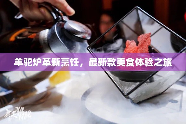 羊駝爐革新烹飪，最新款美食體驗(yàn)之旅