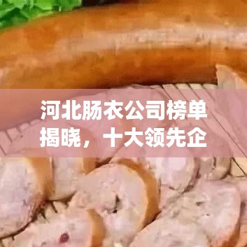 河北腸衣公司榜單揭曉，十大領先企業排名出爐！