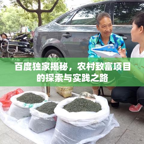百度獨家揭秘，農村致富項目的探索與實踐之路