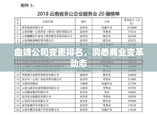 曲靖公司變更排名，洞悉商業(yè)變革動(dòng)態(tài)