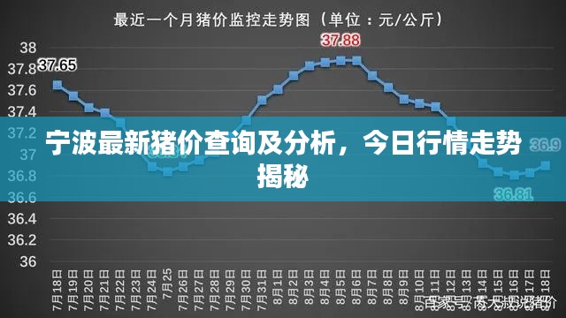 2025年6月11日 第2頁(yè)