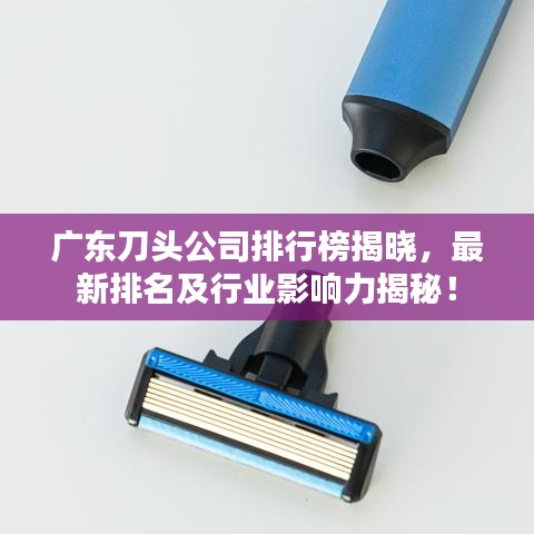 廣東刀頭公司排行榜揭曉，最新排名及行業影響力揭秘！