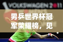 男乒世界杯冠軍榮耀榜，見證輝煌時刻，乒壇精英一覽無余