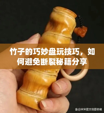竹子的巧妙盤玩技巧，如何避免斷裂秘籍分享