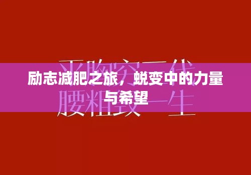 勵(lì)志減肥之旅，蛻變中的力量與希望