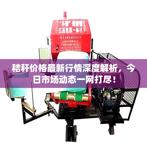 秸稈價格最新行情深度解析，今日市場動態一網打盡！
