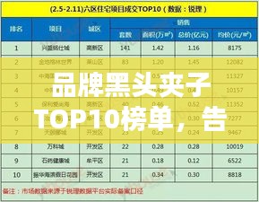 品牌黑頭夾子TOP10榜單，告別黑頭煩惱！