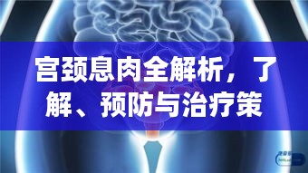 宮頸息肉全解析，了解、預(yù)防與治療策略