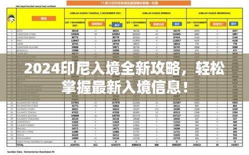 2024印尼入境全新攻略，輕松掌握最新入境信息！