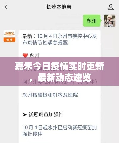嘉禾今日疫情實時更新，最新動態速覽