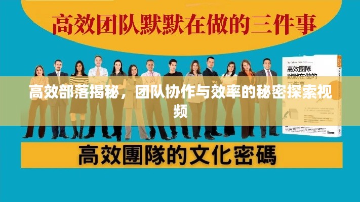 高效部落揭秘，團隊協(xié)作與效率的秘密探索視頻
