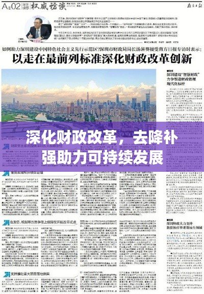 深化財政改革，去降補強助力可持續(xù)發(fā)展
