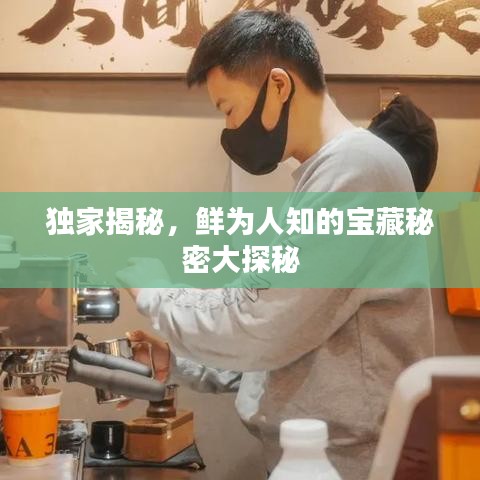 獨家揭秘，鮮為人知的寶藏秘密大探秘
