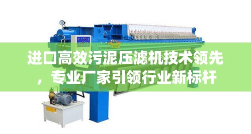 進口高效污泥壓濾機技術領先，專業廠家引領行業新標桿