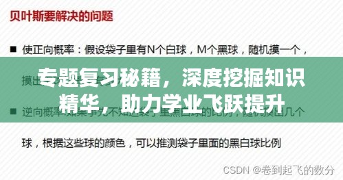 專題復習秘籍，深度挖掘知識精華，助力學業飛躍提升