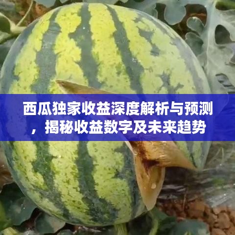 西瓜獨家收益深度解析與預測，揭秘收益數字及未來趨勢