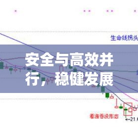 安全與高效并行，穩健發展典范展現