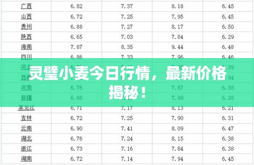 靈璧小麥今日行情，最新價格揭秘！