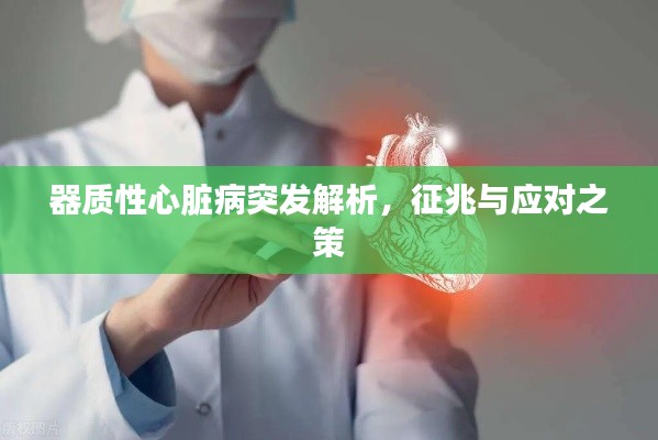 器質性心臟病突發解析，征兆與應對之策