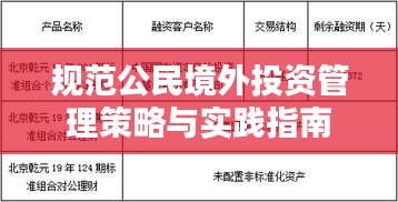規范公民境外投資管理策略與實踐指南