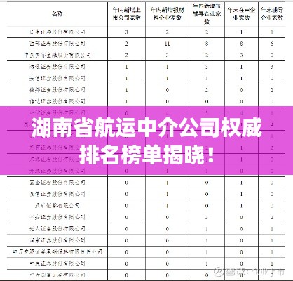 湖南省航運中介公司權威排名榜單揭曉！