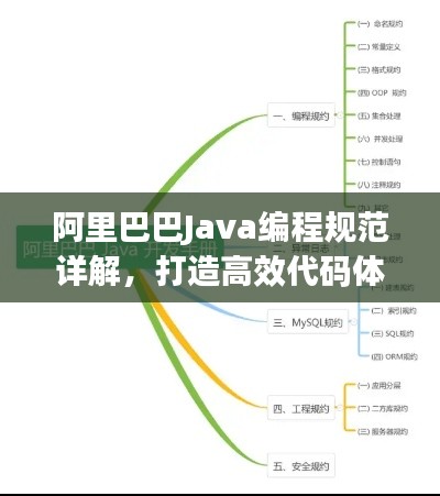 阿里巴巴Java編程規(guī)范詳解，打造高效代碼體系的標準指南