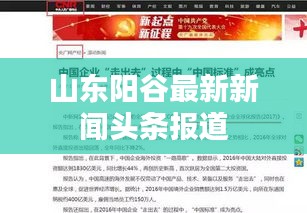 山東陽谷最新新聞頭條報道