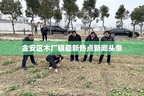金安區(qū)木廠鎮(zhèn)最新熱點新聞頭條