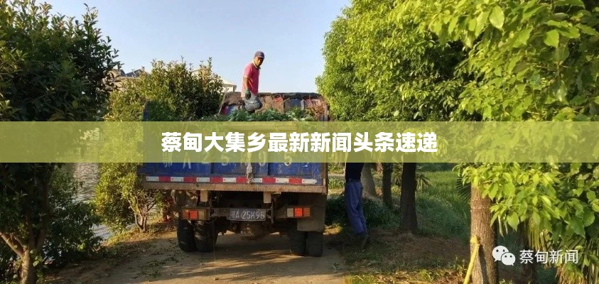 蔡甸大集鄉最新新聞頭條速遞