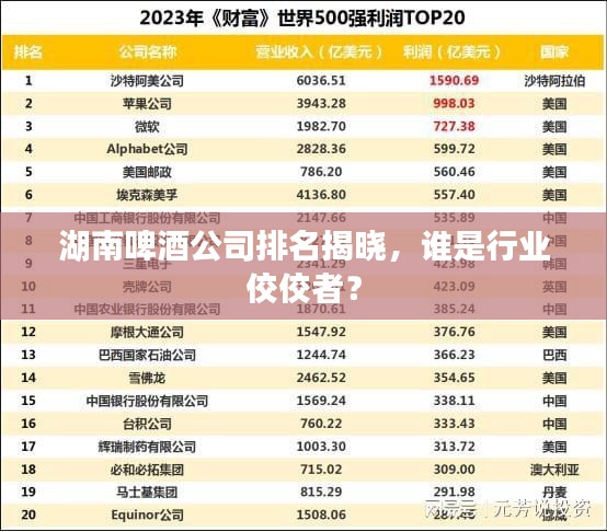 湖南啤酒公司排名揭曉，誰是行業佼佼者？
