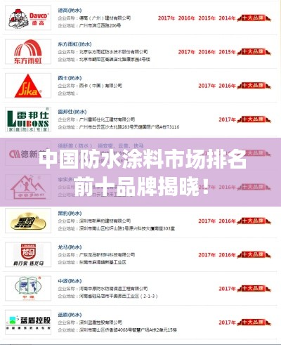 中國防水涂料市場排名前十品牌揭曉！