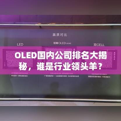 OLED國內公司排名大揭秘，誰是行業領頭羊？