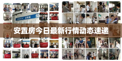 安置房今日最新行情動態(tài)速遞