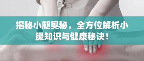 揭秘小腿奧秘，全方位解析小腿知識與健康秘訣！