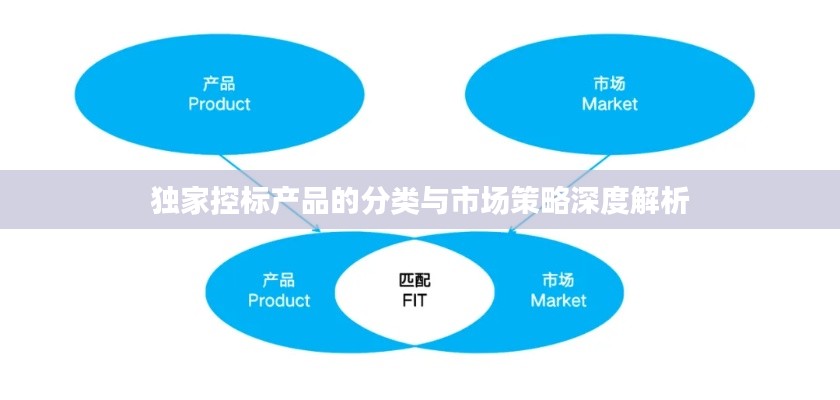 獨家控標產品的分類與市場策略深度解析