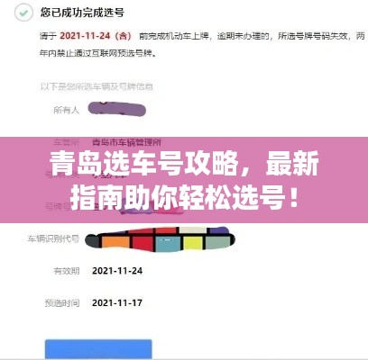 青島選車號攻略，最新指南助你輕松選號！
