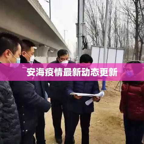 安海疫情最新動態更新