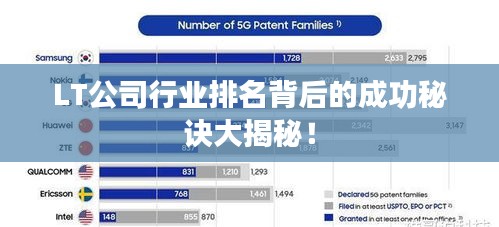 LT公司行業(yè)排名背后的成功秘訣大揭秘！