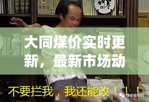 大同煤價實時更新，最新市場動態揭秘
