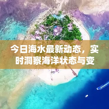 今日海水最新動態(tài)，實(shí)時洞察海洋狀態(tài)與變化