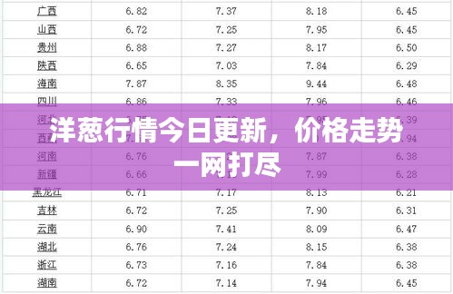 洋蔥行情今日更新，價格走勢一網打盡